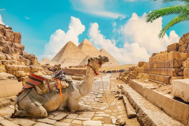 Deluxe 14-Day Egypt & Jordan Discovery 2026 with Dead Sea, Petra & Wadi Rum